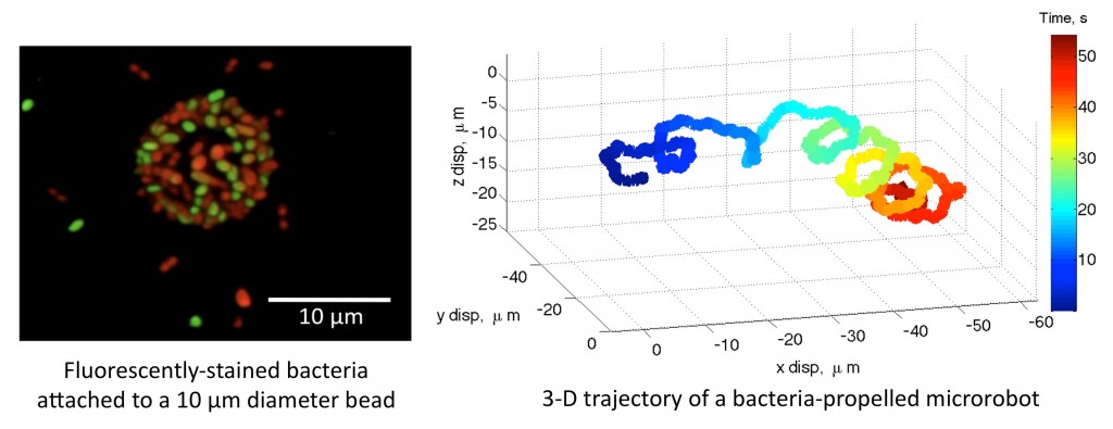 CMU_bacteriaMicrorobots-1024x395 CMU_bacteriaMicrorobots-1024x395