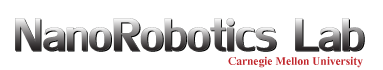 NanoRobotics_logo