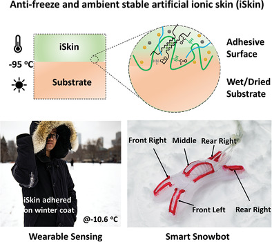 Anti-freezing iSkin